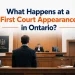 What happens at a first court appearance