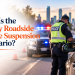 What Is the 90-Day Roadside